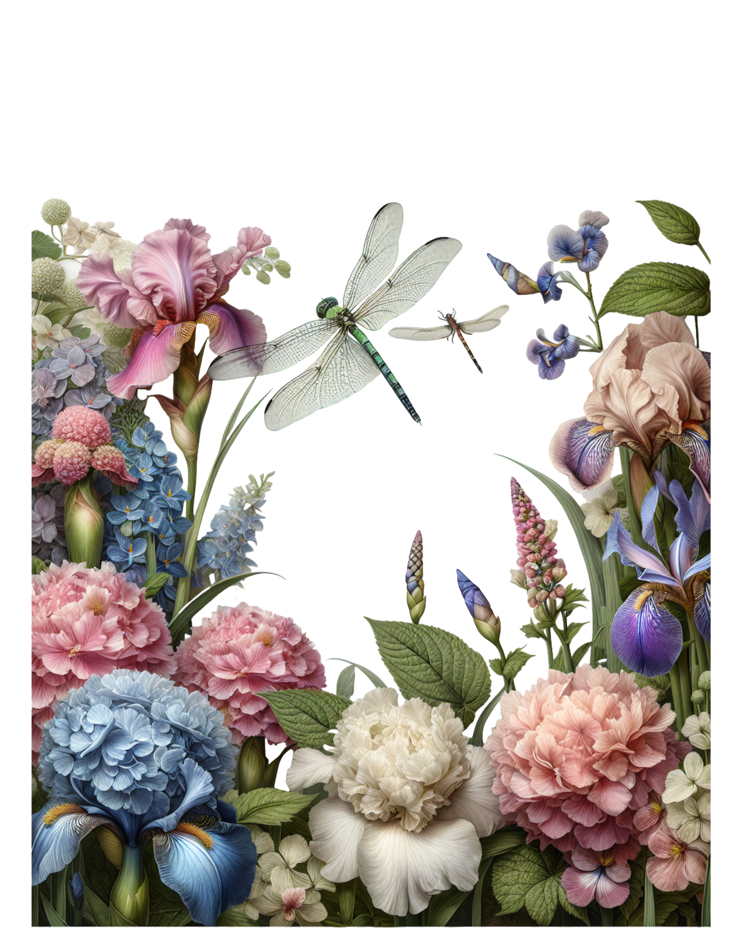 Illustration of flowers and dragonflies on a white background
