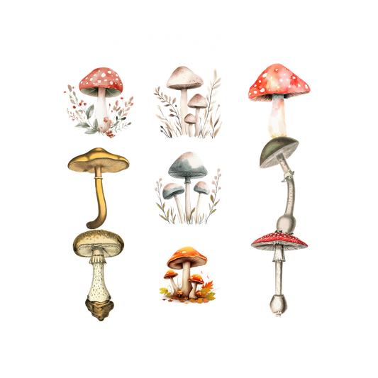 Illustrations of various mushrooms on a white background